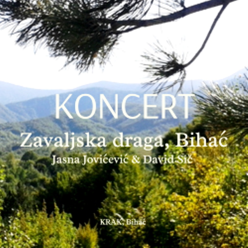 Jasna Jovićević & David Sič koncert u šumi, BA